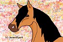 Beautiful Kiger Mustang