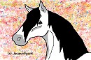 FREE Spirit or Kiger Mustang Lineart!