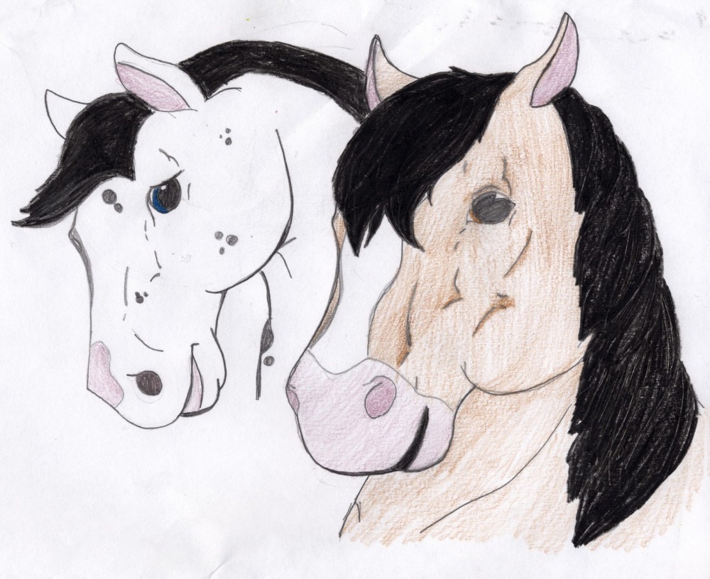 Bullet and Amber Fanfic Cover #1