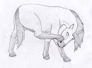 Spirit Scratching 