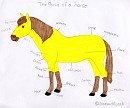 Spirit: The Parts of a horse