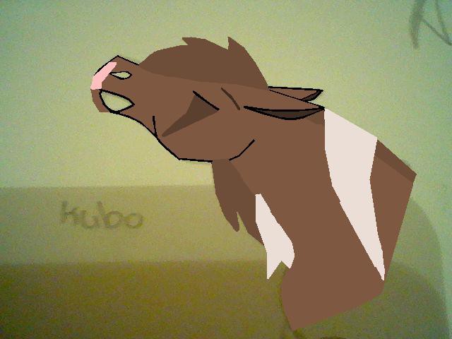 My first Drawing