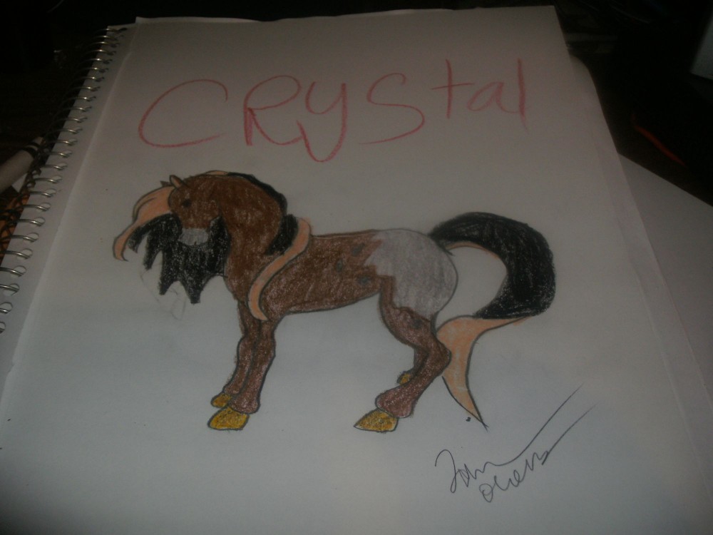 Chrystal the appalusa(rains sister)