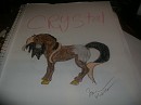 Chrystal the appalusa(rains sister)