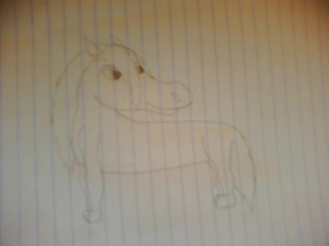 Horse doodle :3