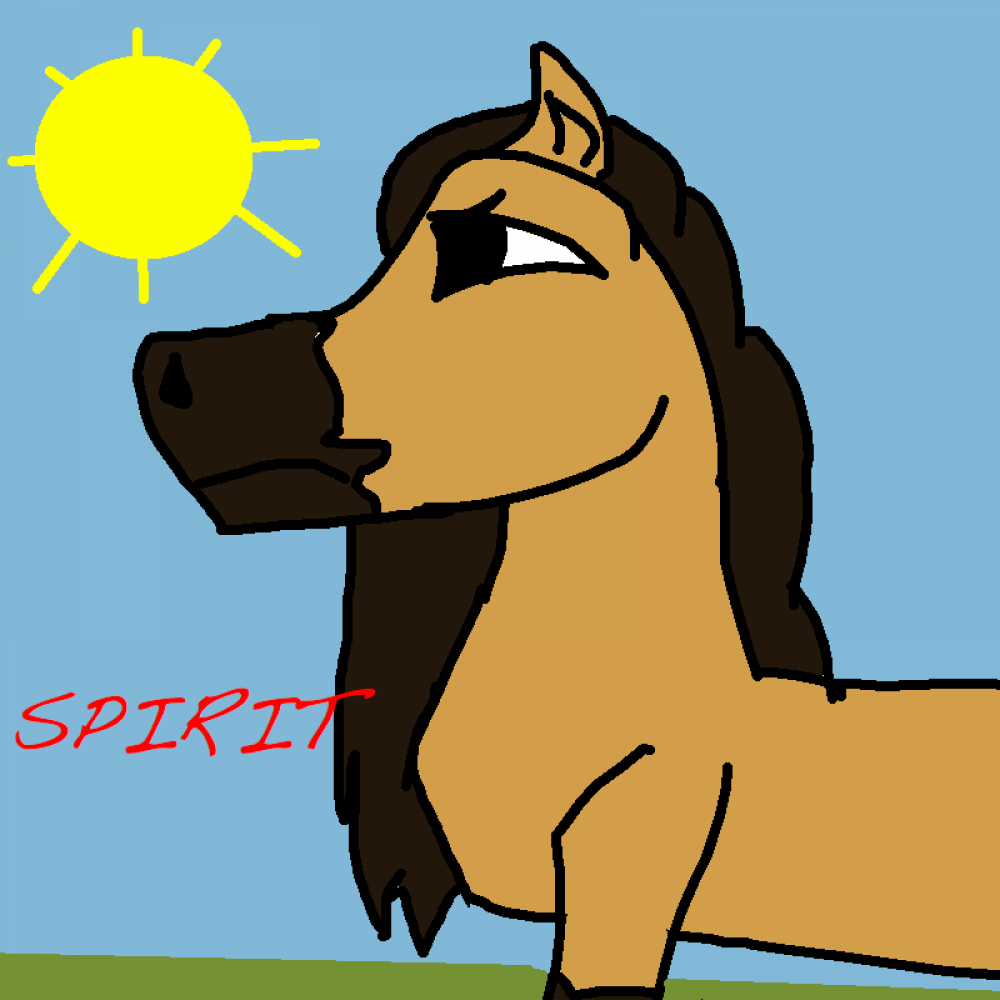 Spirit