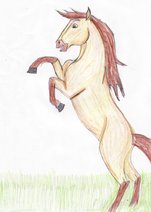 Spirit