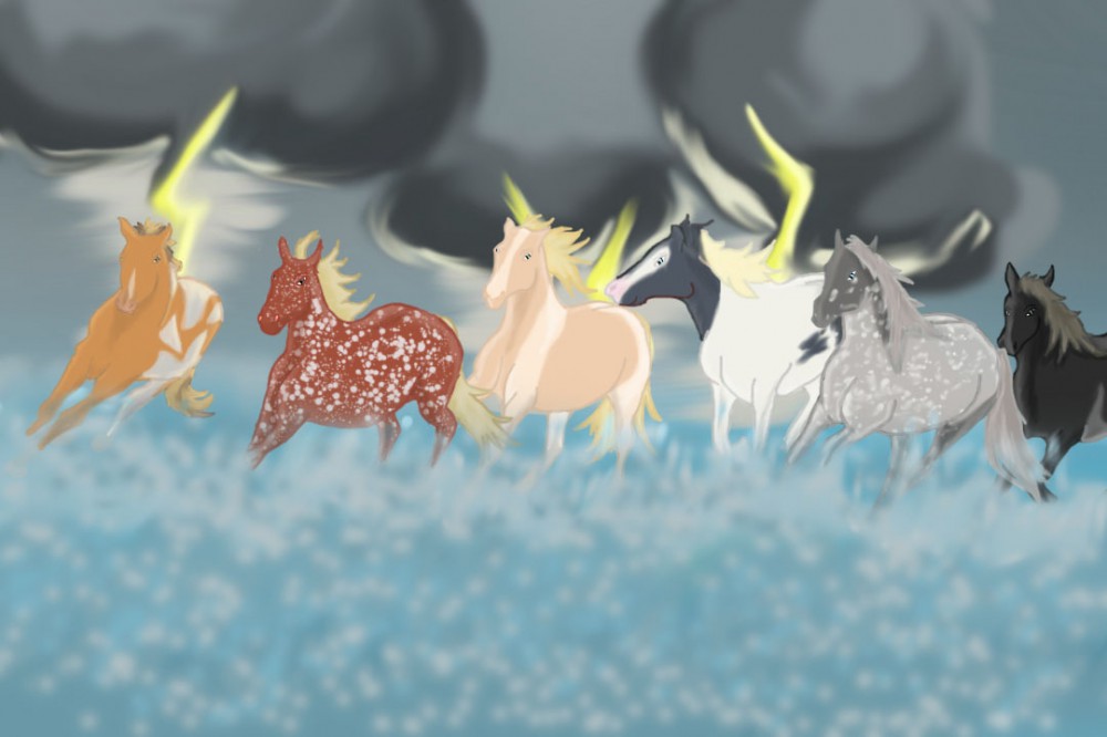 Running Prairie Herd 