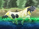 Blue~Going for a swim!