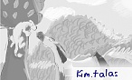 kim.talas