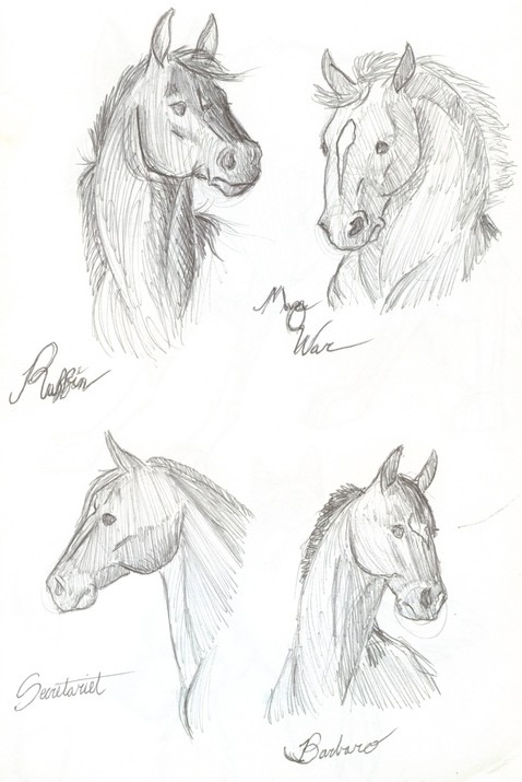 Racehorse Heros