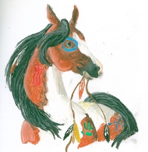 Indian Pony