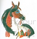 Indian Pony