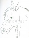 Realistic Spirit---> Not Colored