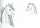 Old drawings of Dune