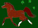 I B IRISH!!!