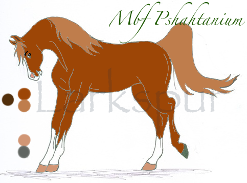 Pshah Ref