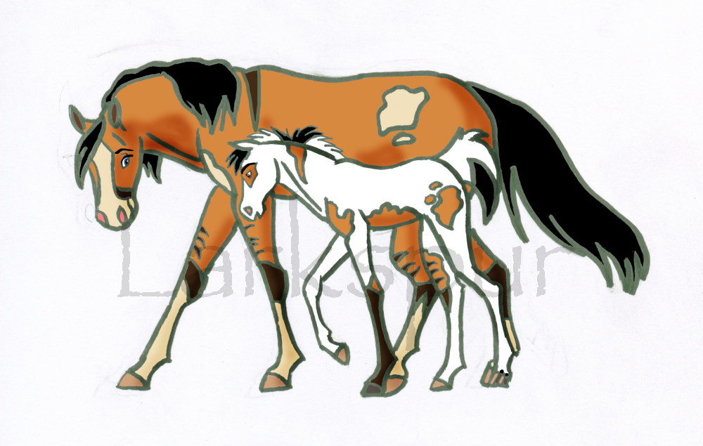 Goin' Back to the Herd