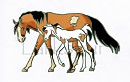 Goin' Back to the Herd