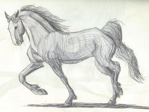 Beautiful Breeds #2-- Friesian 