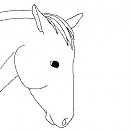 first drawing