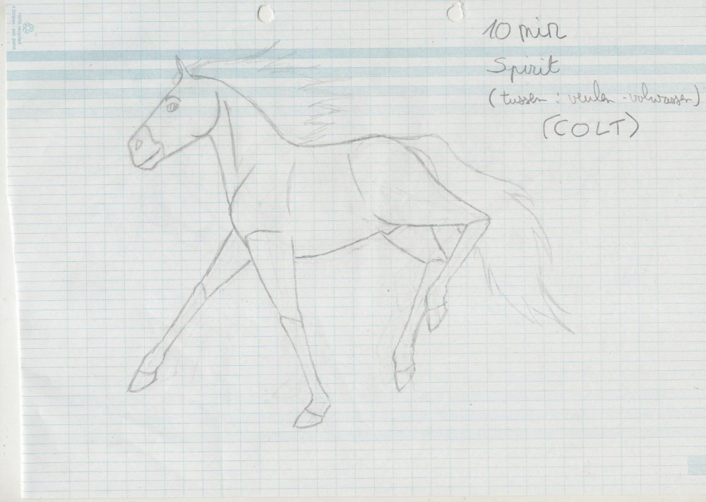 Spirit in canter