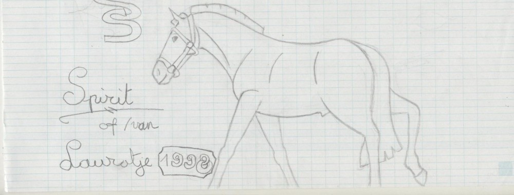 Cavalary Spirit