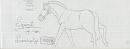 Cavalary Spirit