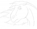 Mad horse
