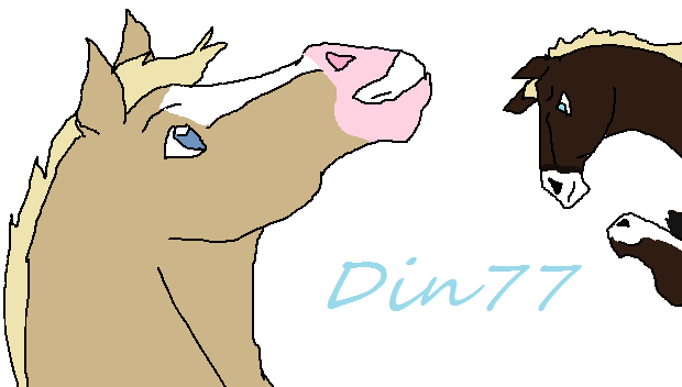 Gift for Din77