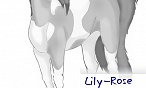 Lily-Rose