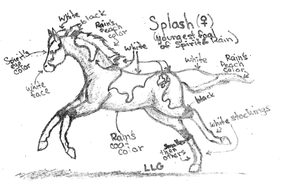 Notes for Splash 
