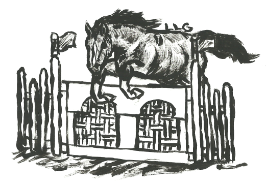 A Jumping Horse