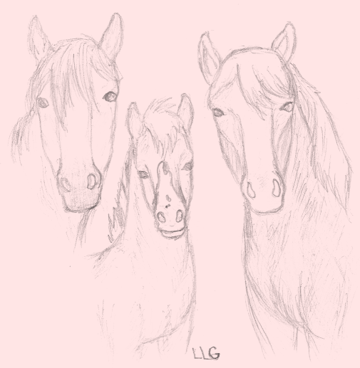 A Spirit Family