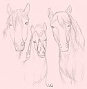 A Spirit Family