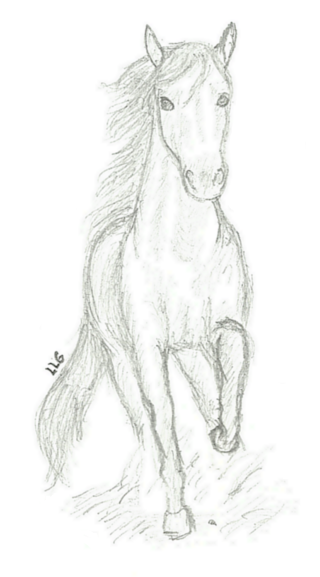 Another Spirit Drawing