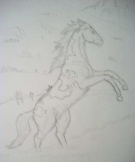 Wild Mustang