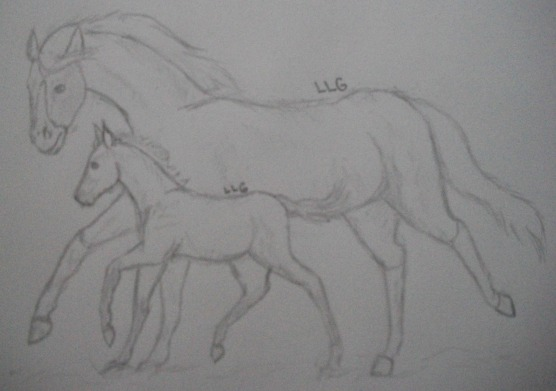 Spirit & Esperanza