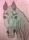 Spirit Doodle