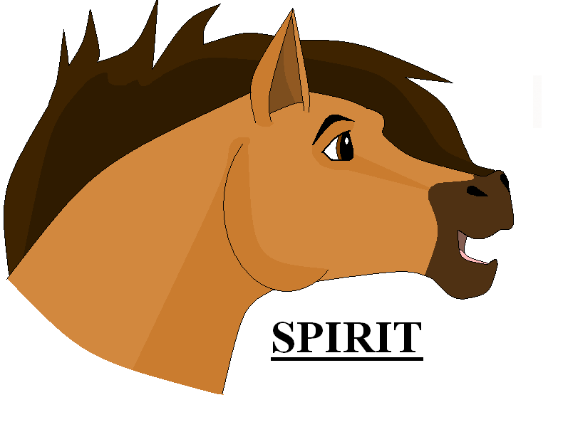 Spirit