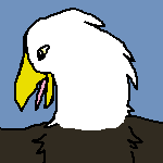 Eagle Avvie