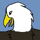 Eagle Avvie