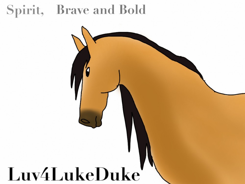 Brave and Bold