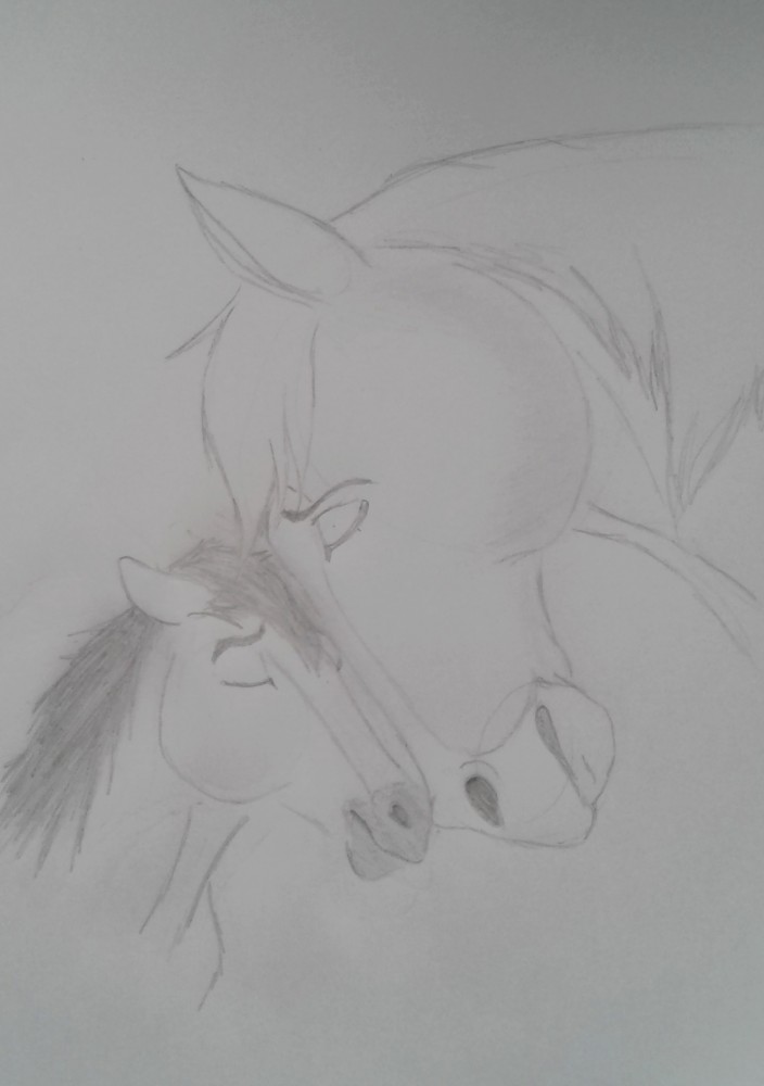 Spirit & Esperanza