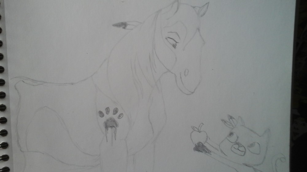 Requête : Want to have new friend