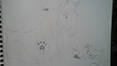 Requête : Want to have new friend