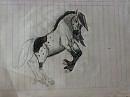 Catherin page desing