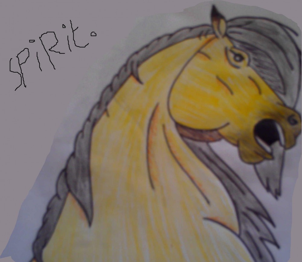 spirit of the plains