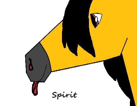 Spirit