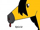 Spirit